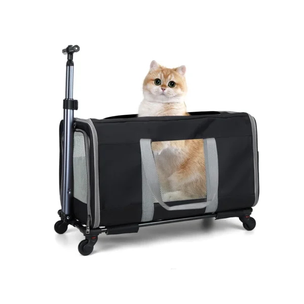 Premium Cat Trolley